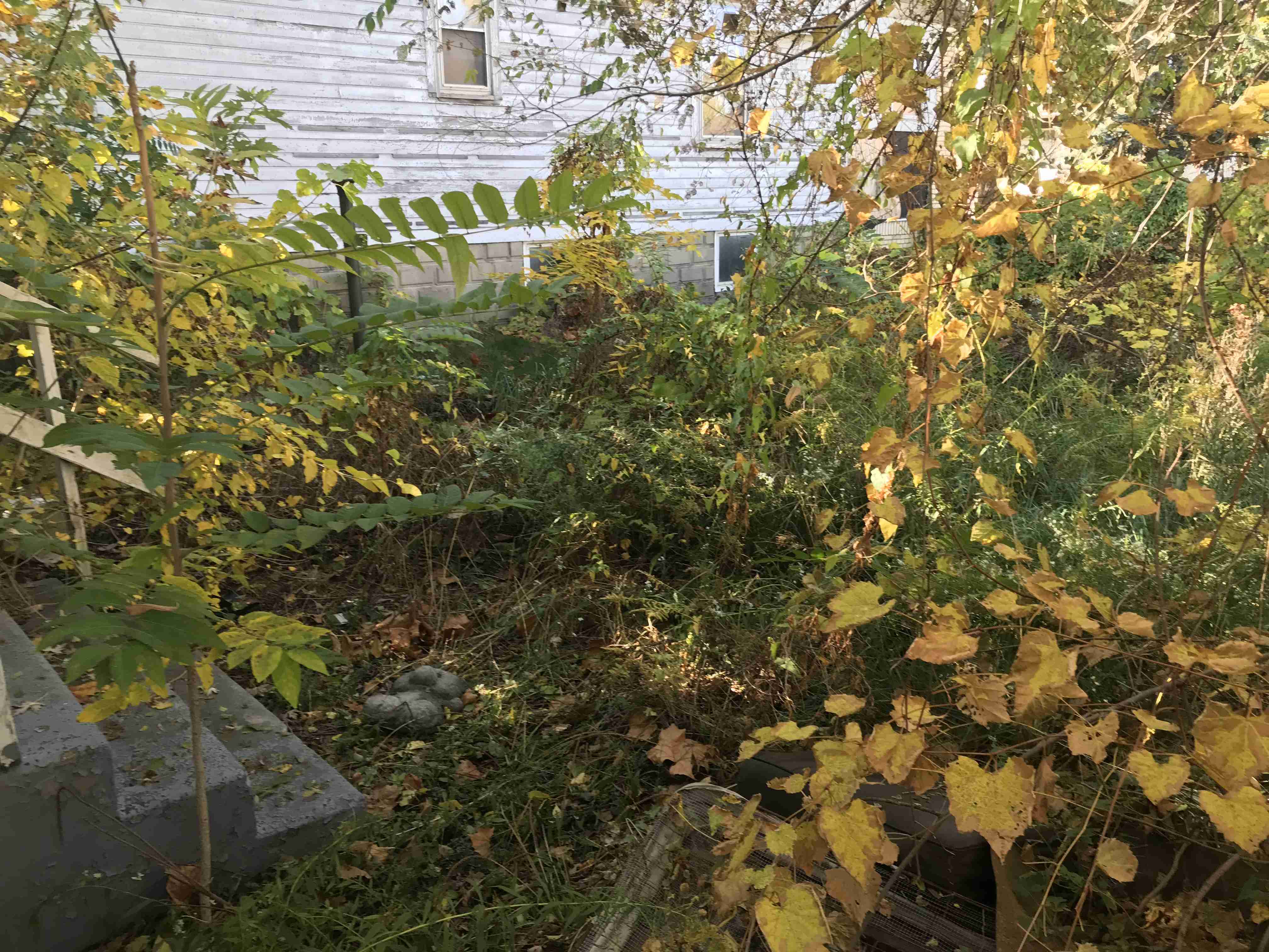 Photo Oct 13, 11 38 40 AM (1).jpg